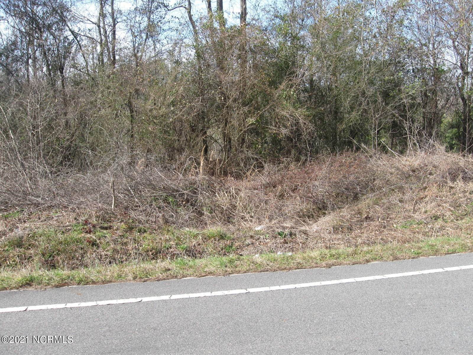 Land for Sale at 1 Point Caswell Road Atkinson, North Carolina 28421 United States