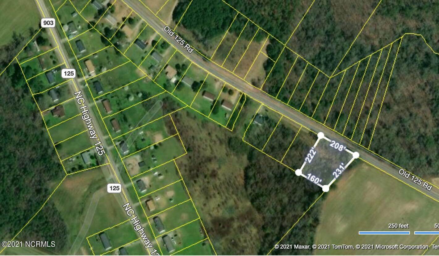 土地,用地 为 销售 在 L19 Old Hwy 125 Halifax, 北卡罗来纳州 27839 美国