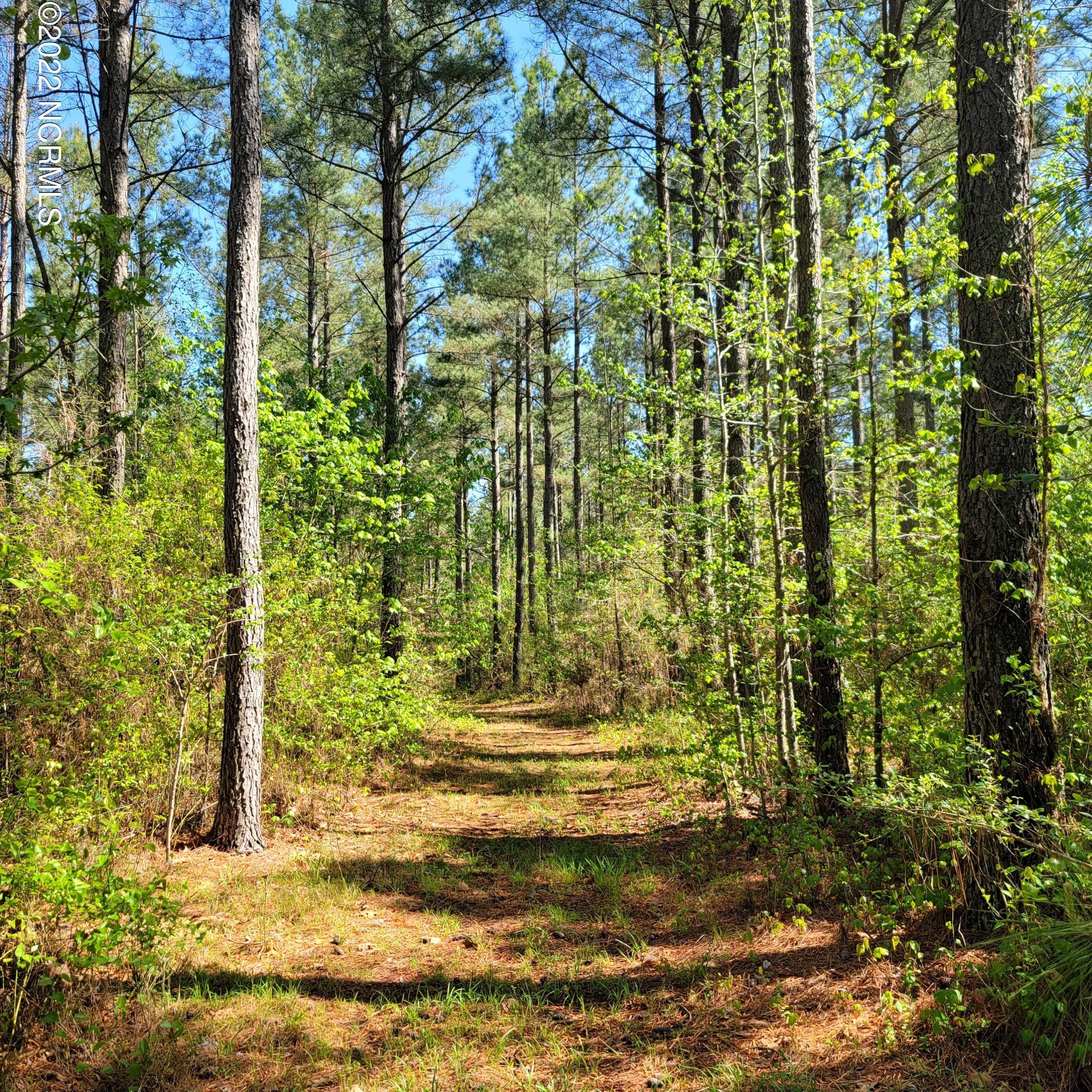 Land for Sale at Flatwood Creek Road Bear Creek, North Carolina 27207 United States