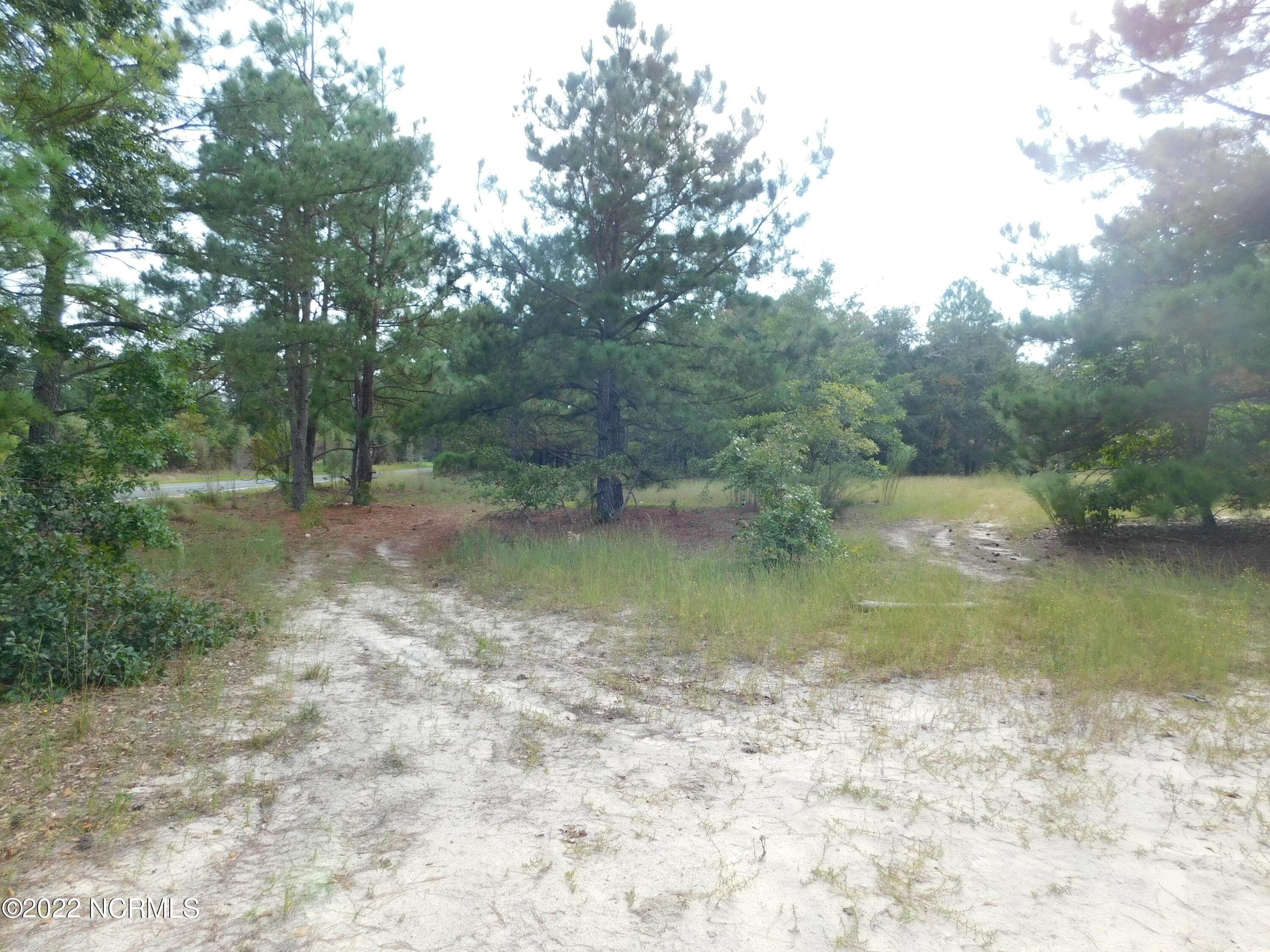 2. Land for Sale at 58 Bowen Grocery Road McColl, South Carolina 29570 United States