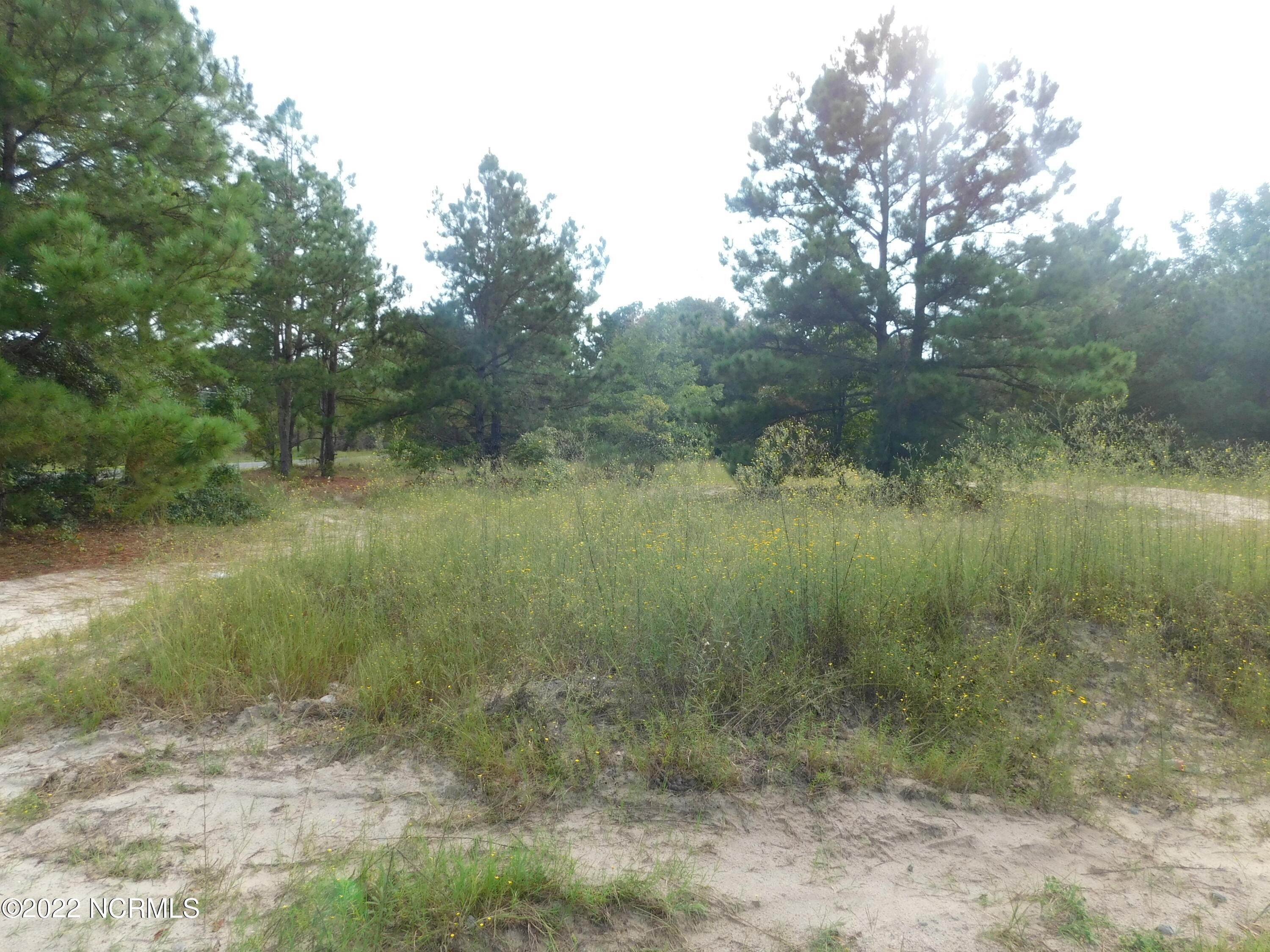 15. Land for Sale at 58 Bowen Grocery Road McColl, South Carolina 29570 United States