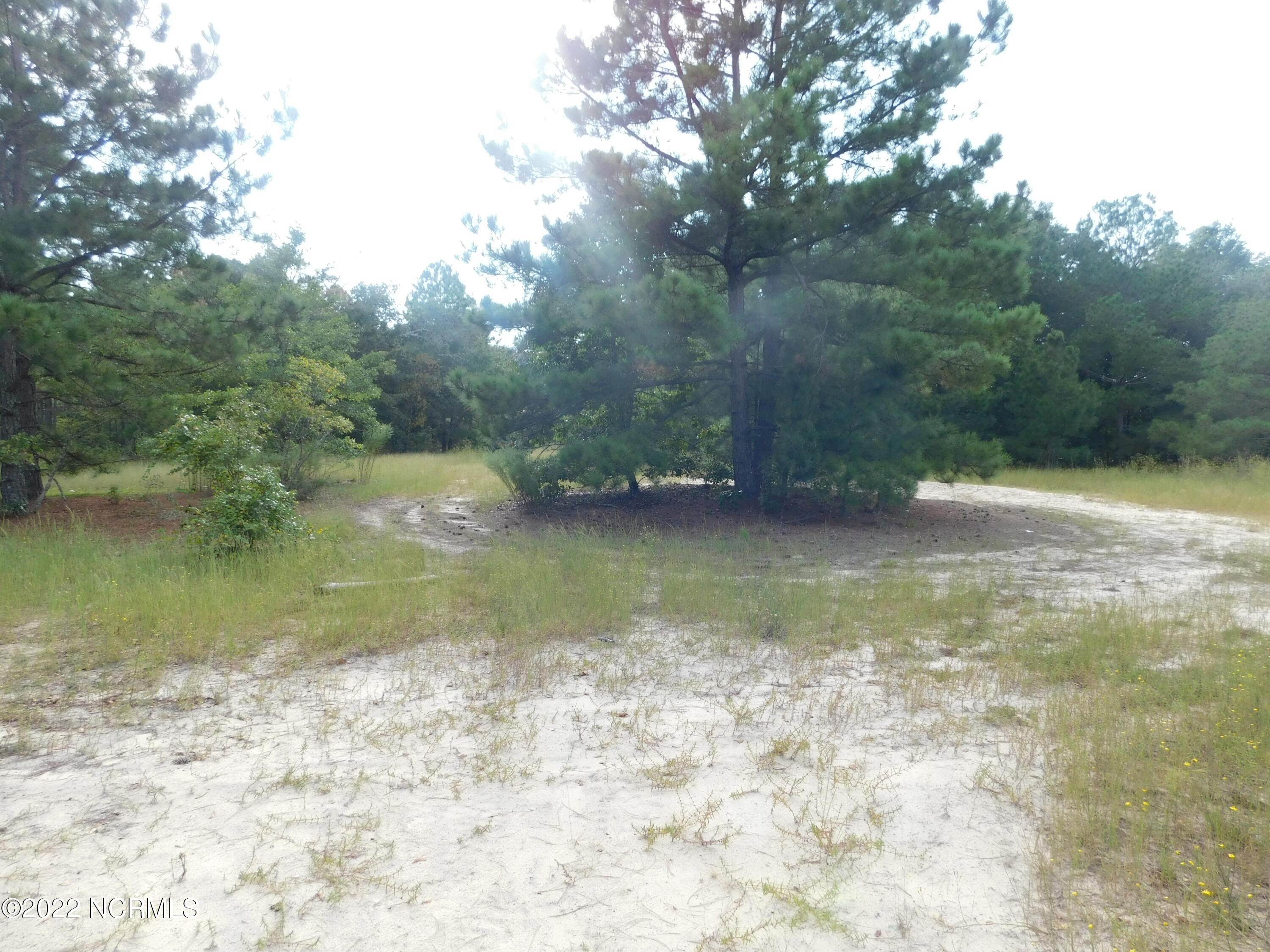 4. Land for Sale at 58 Bowen Grocery Road McColl, South Carolina 29570 United States