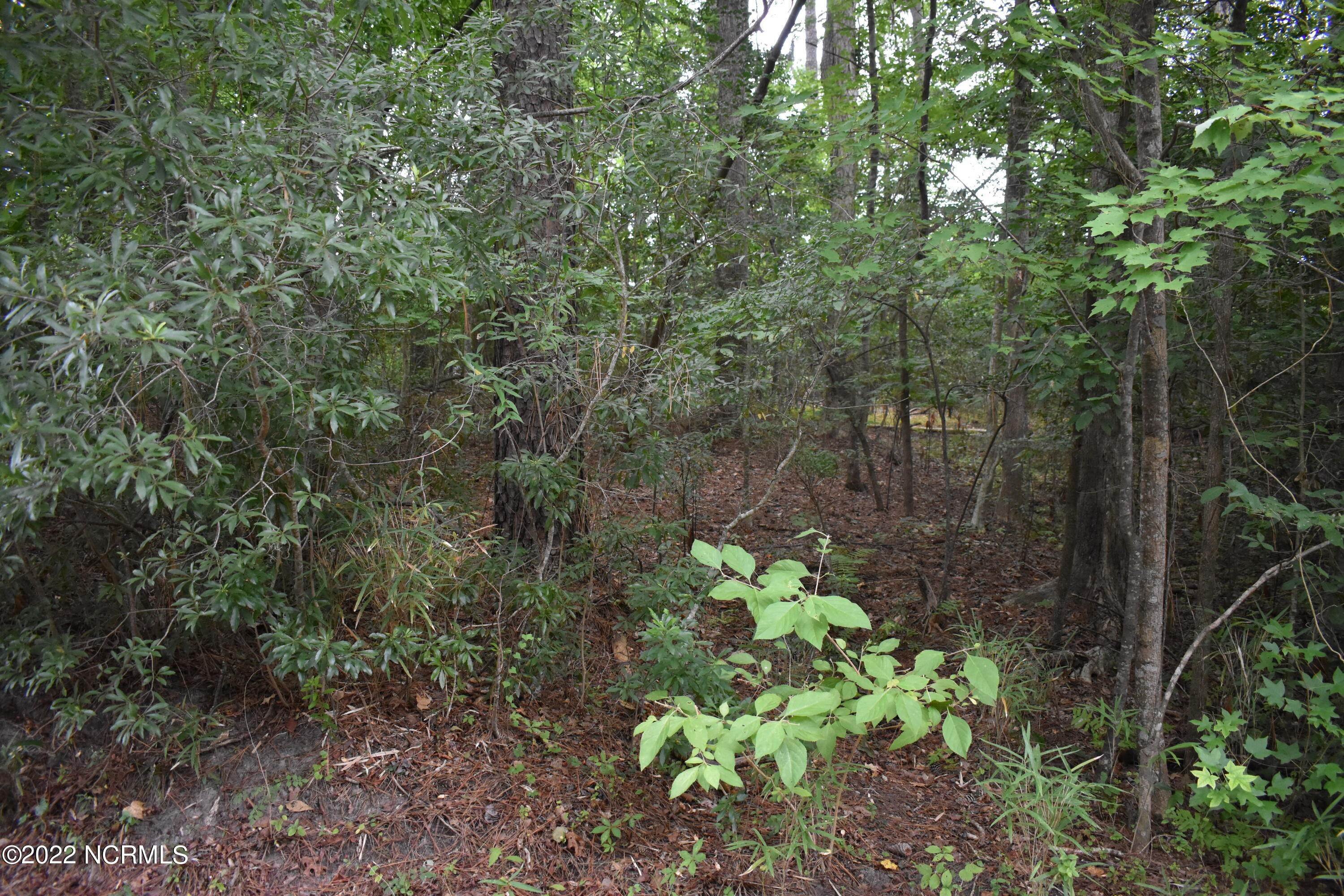 Land at Lot 4 Evergreen Lane Blounts Creek, North Carolina 27814 United States