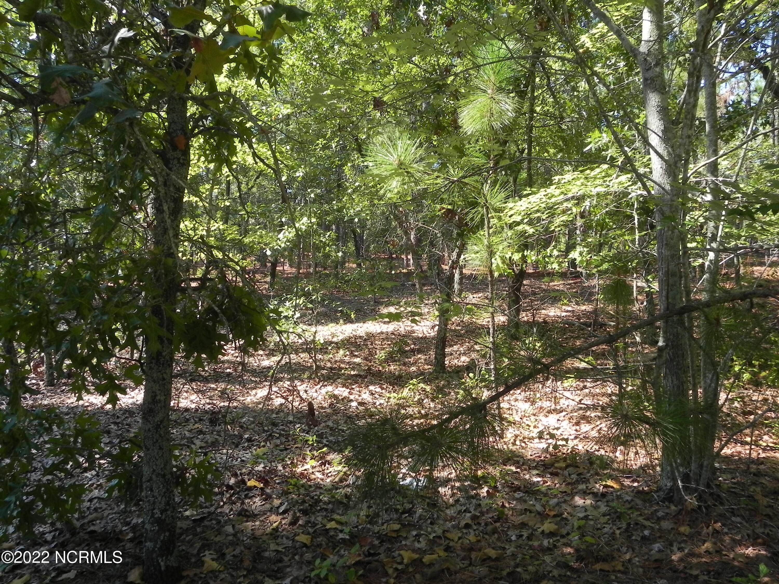 19. Land for Sale at 108 Dartmoor Lane West End, North Carolina 27376 United States