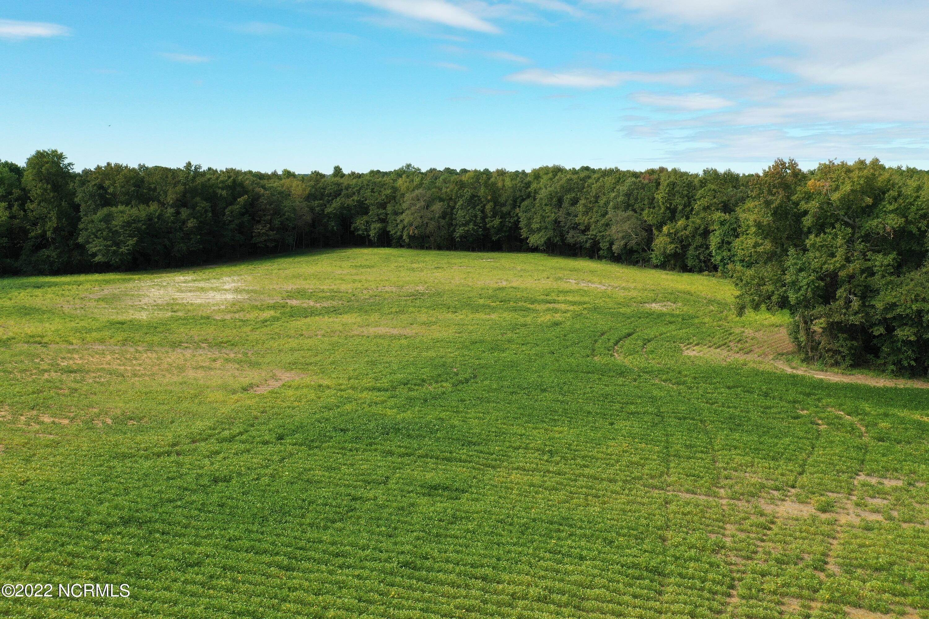 Land for Sale at 1 Old Mill Road Stantonsburg, North Carolina 27883 United States