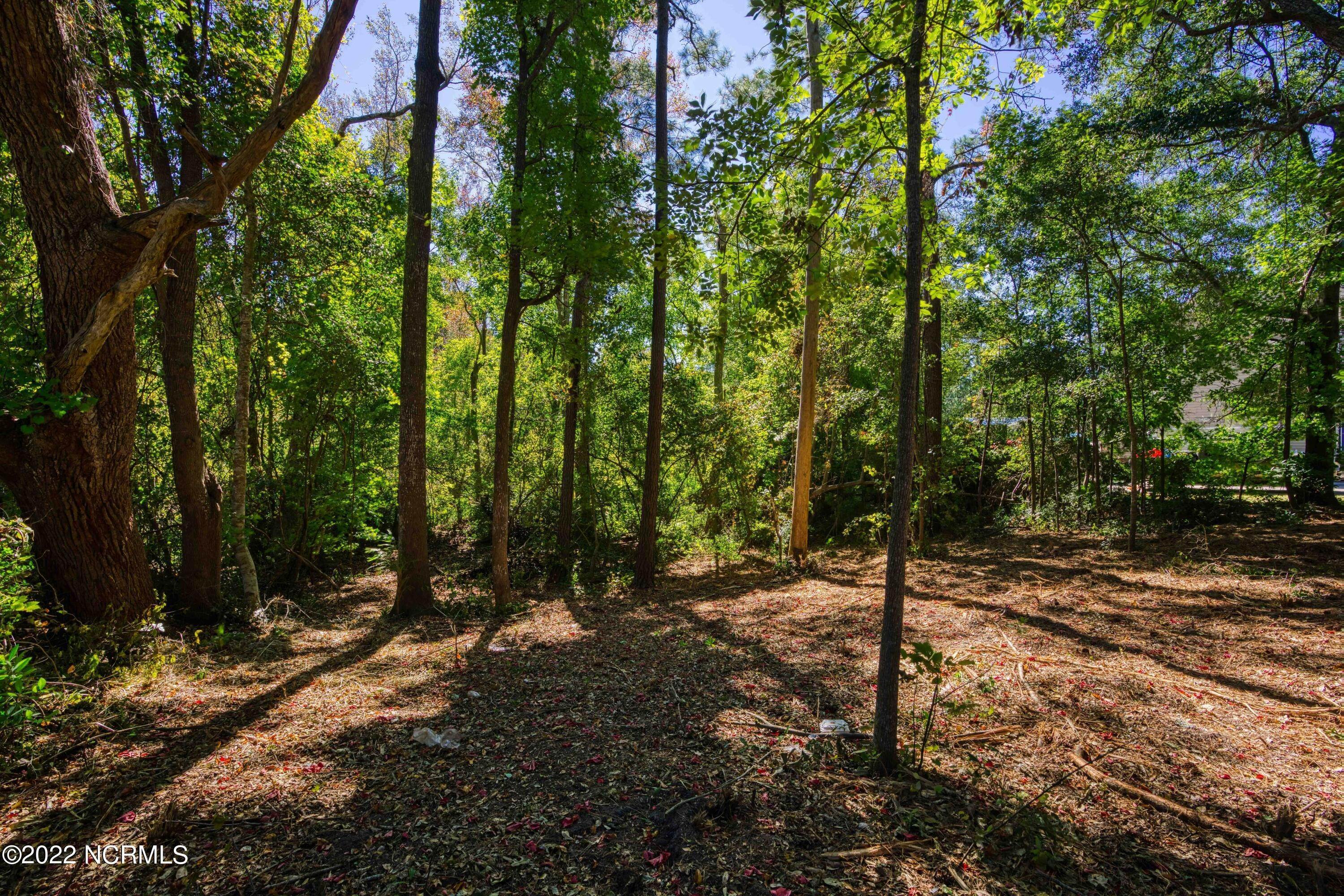 10. Land for Sale at 512 Chadwick Shores Drive Sneads Ferry, North Carolina 28460 United States