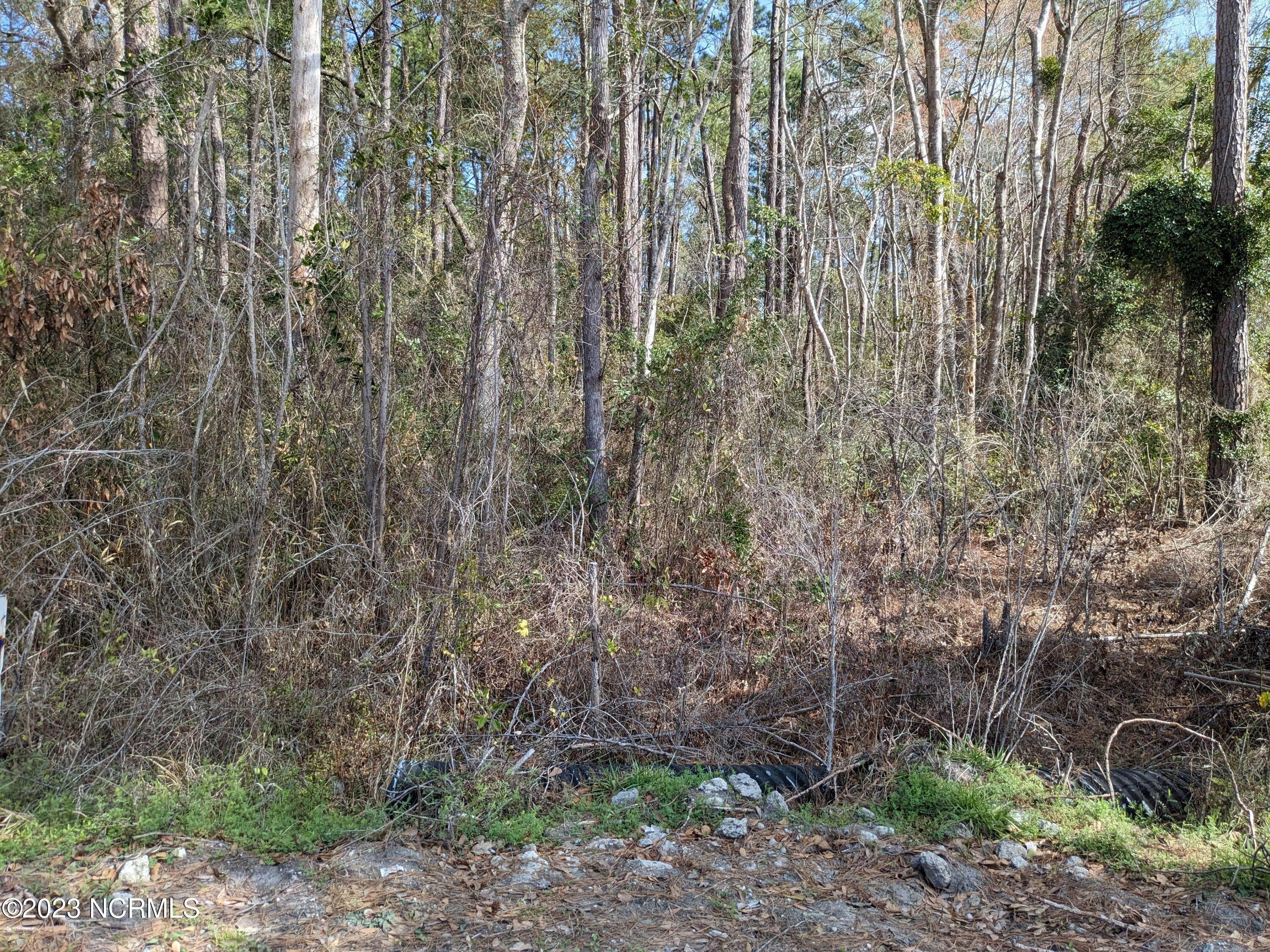3. Land for Sale at 114 Hunter Court Rocky Point, North Carolina 28457 United States