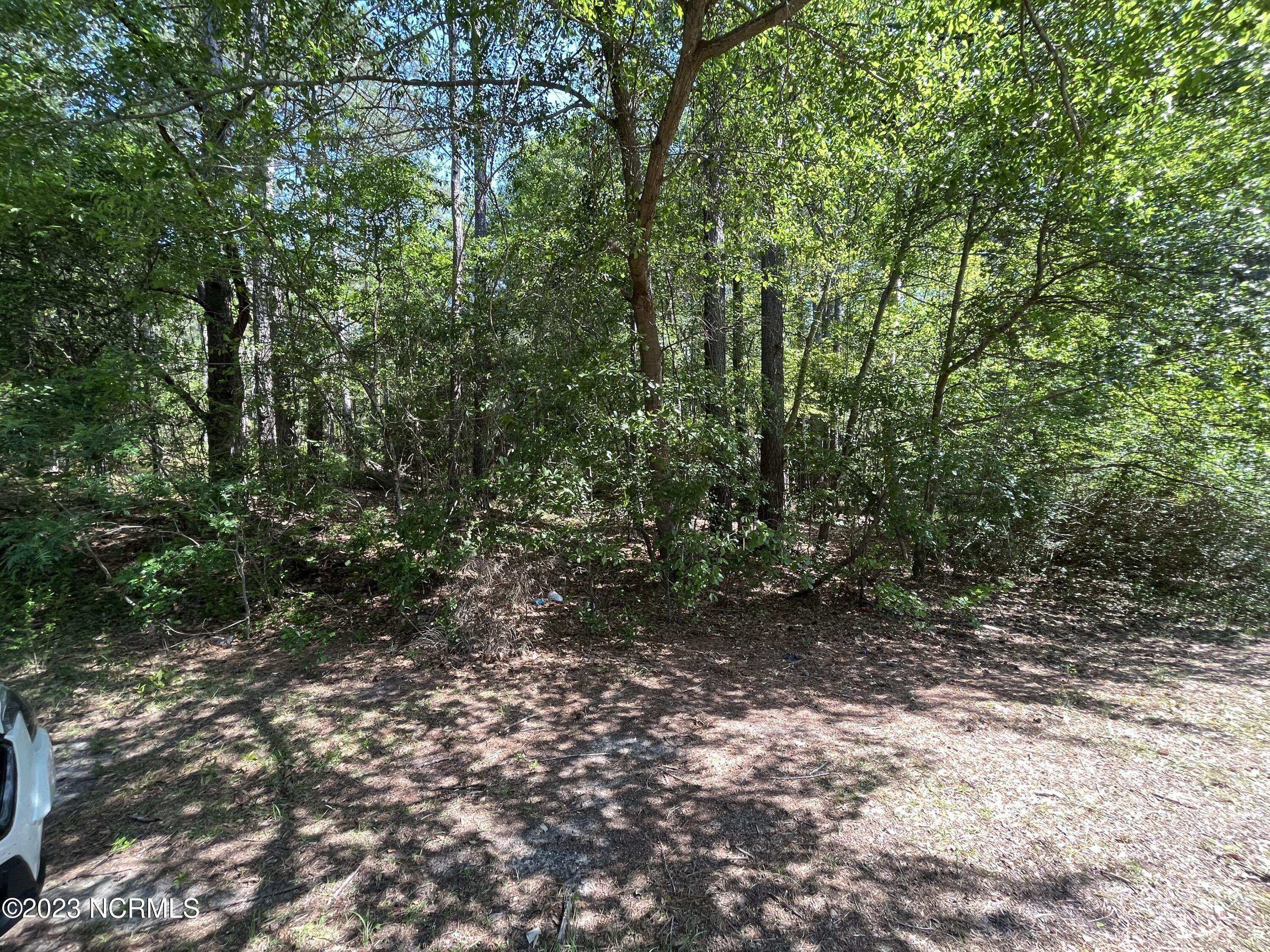 4. Land for Sale at 304 Eastman Road Southern Pines, North Carolina 28387 United States