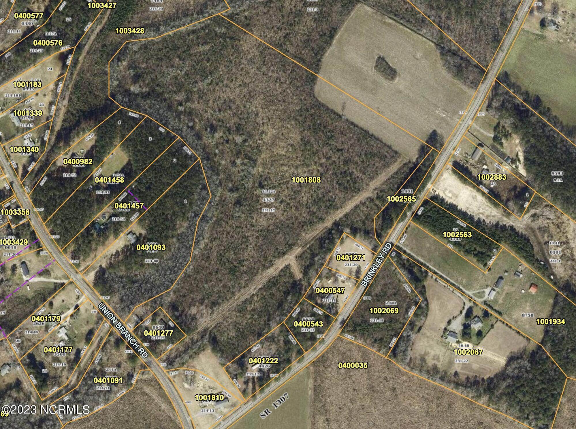 Land for Sale at Brinkley Road Corapeake, North Carolina 27926 United States